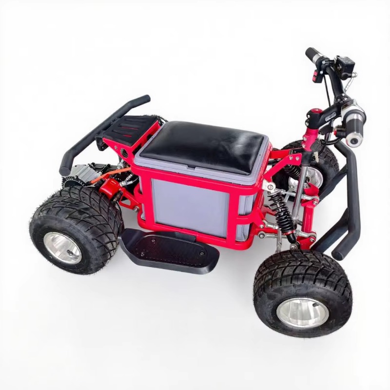 Электрический дрифт-карт Crazy – обзор и цена Kids Outdoor Karting